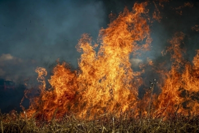 Бурятия в Огне: Как Подготовиться к Природным Пожарам в Регионе