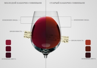 Winetone: Цвет Вина, Сотканный Искусством И Нейросетью